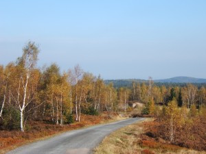DSCF2411.JPG