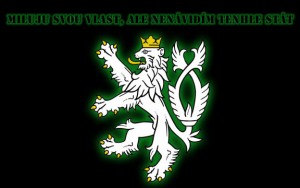 cz-lev-wallpaper (3).jpg