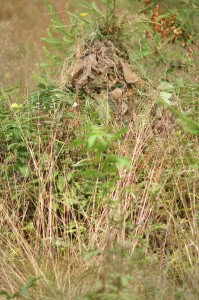 PICT0073.JPG