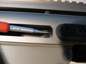IMG_3108.JPG